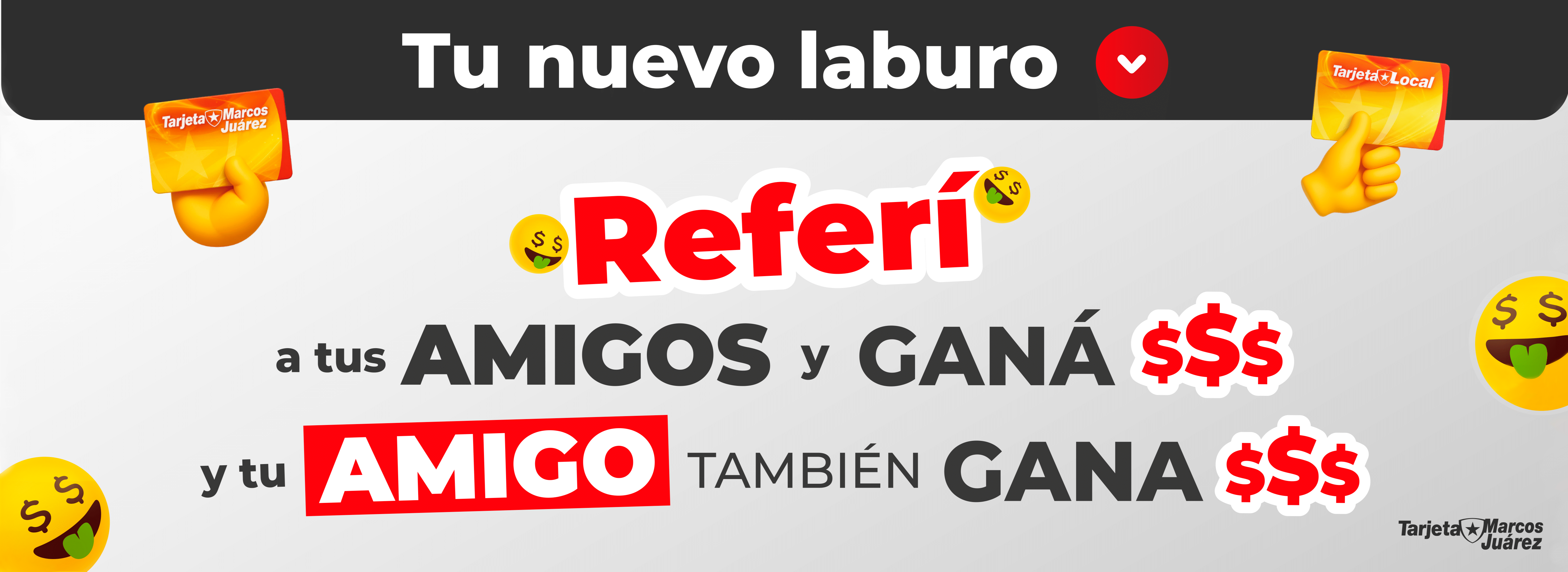 Imagen 1A
